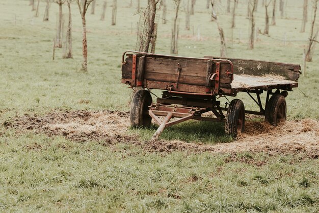 Jak skutecznie przygotować starą maszynę rolniczą do sprzedaży?